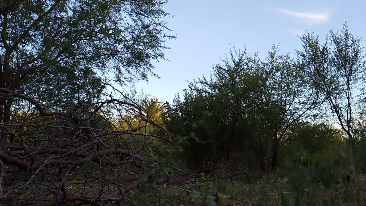 Un poco de atardecer