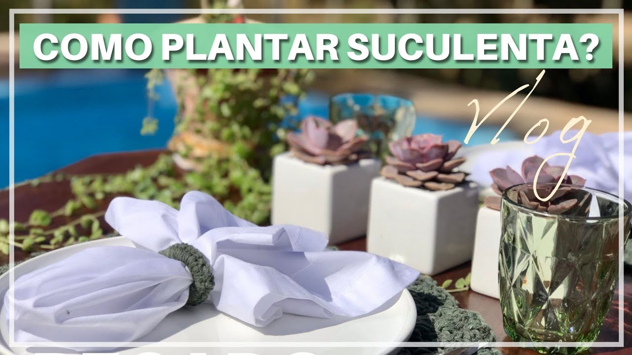 VLOG | Como PLANTAR SUCULENTA no vaso? Decoração e MESA POSTA!