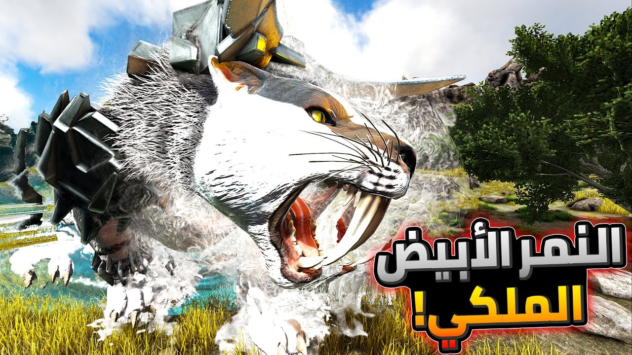 أرك الملوك 6#: روضت النمر الملكي الأبيض!😍🐅- الخفاش مصاص الدماء!🦇 | ARK Kings