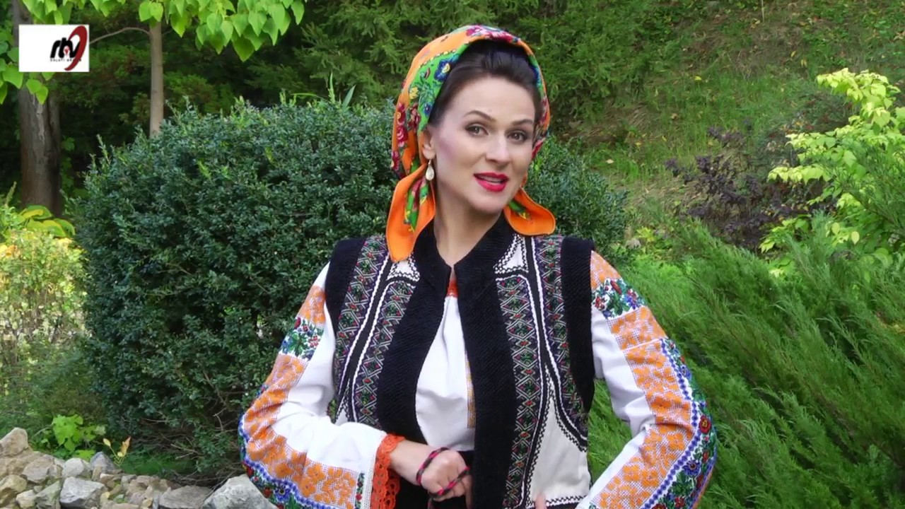 Alina  Hutu  - Bun gasit la iasta casa