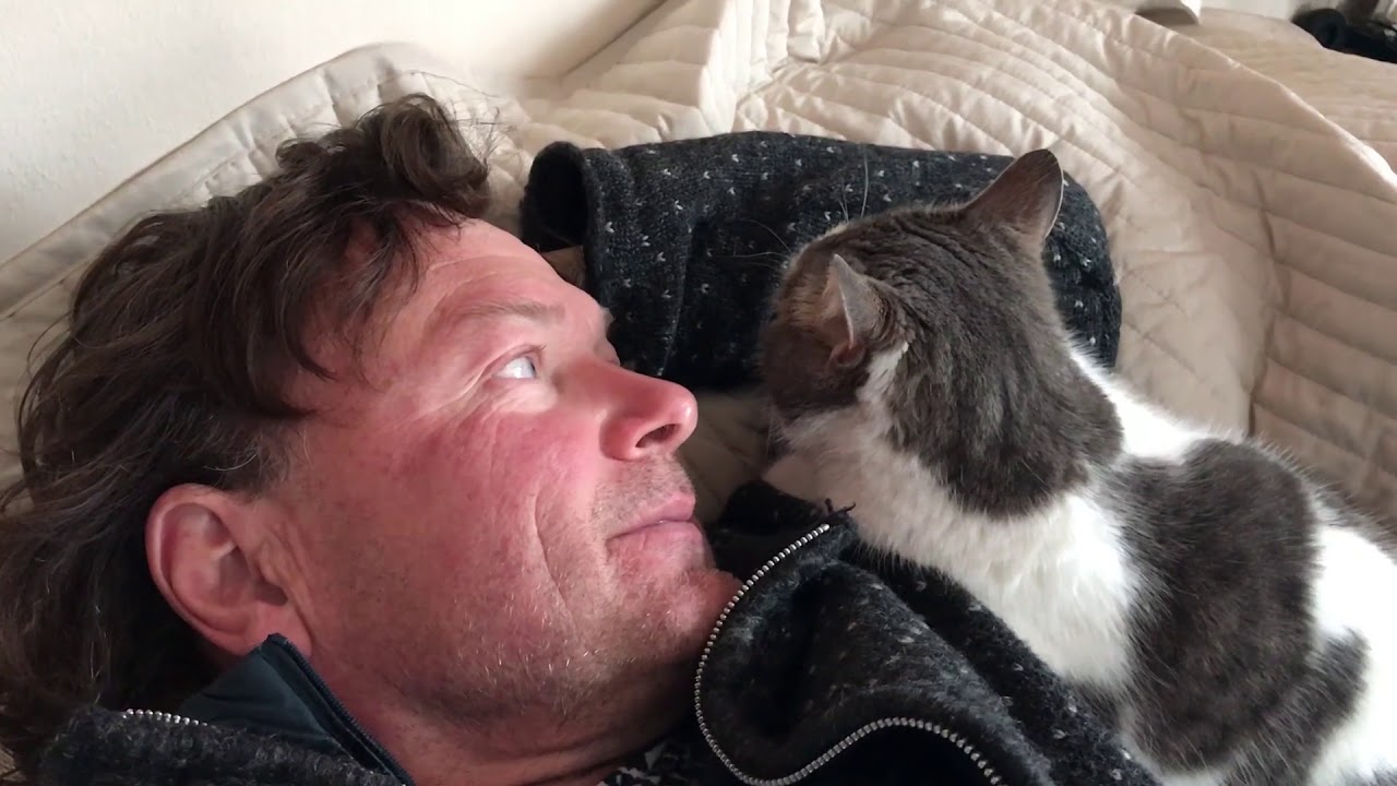 J&Ouml;RG PULS - Coole Katze