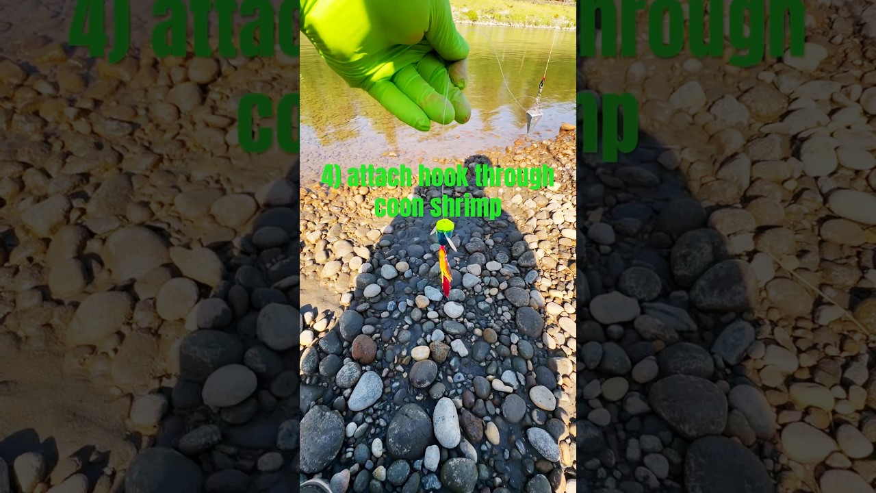 Easy Go To Plunking setup, Salmon Steelhead Sockeye for Tributary and Columbia River