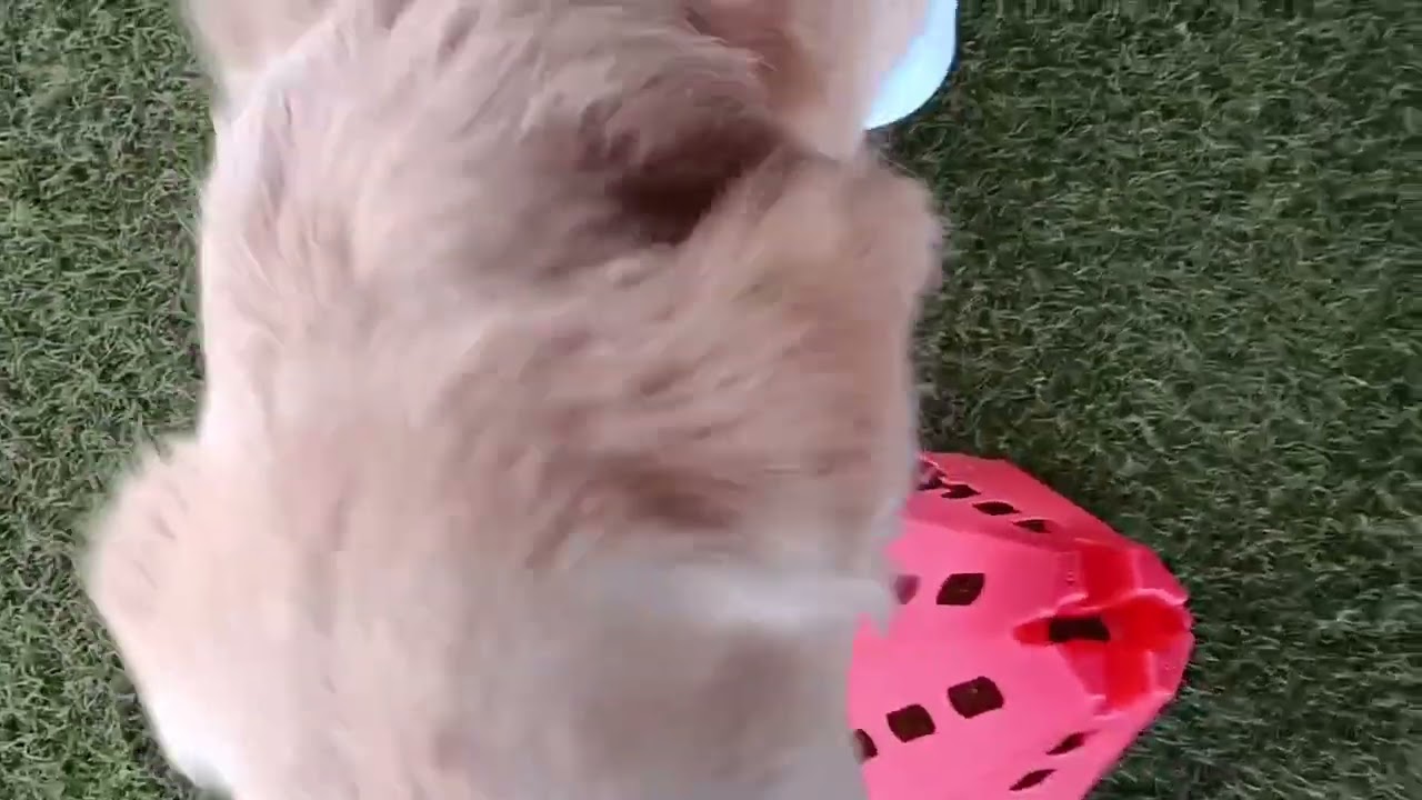 20260221 そらちゃん　上手ね〜🥹🥹
