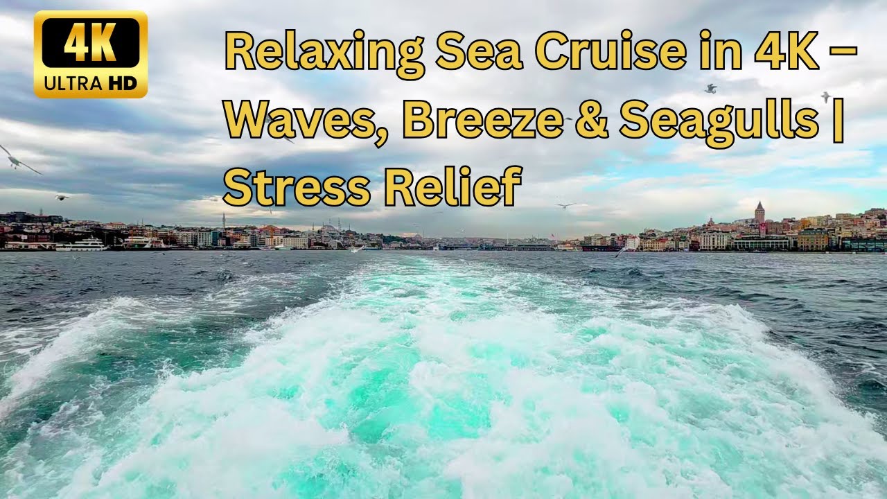 Istanbul Bosphorus Ferry Ride ASMR &ndash; Relaxing Sea Waves & Seagulls | 4K Ultra HD