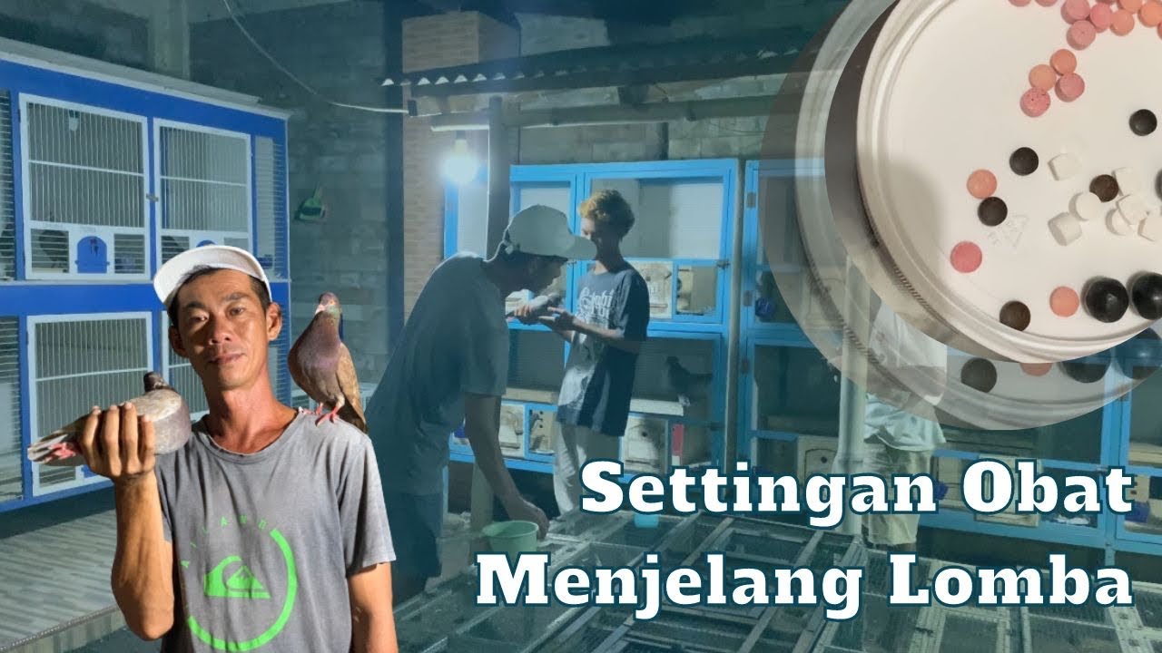 🔴SETINGAN OBAT MENJELANG LOMBA #bintangutara #mumbay