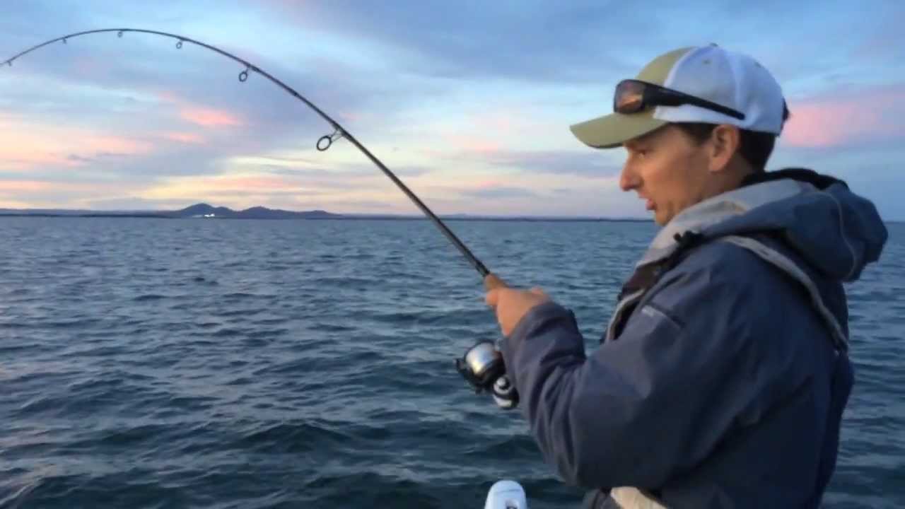 Corio Bay Snapper