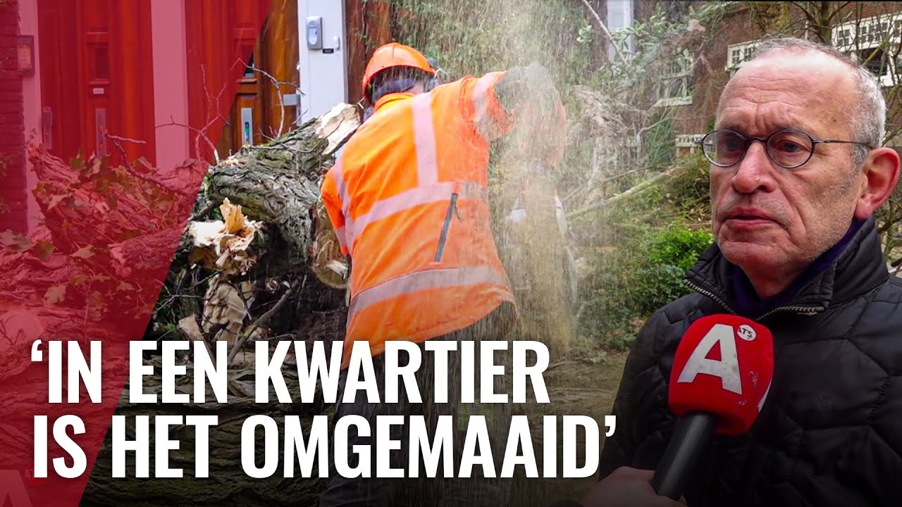 Het kleinste park van Amsterdam is niet meer