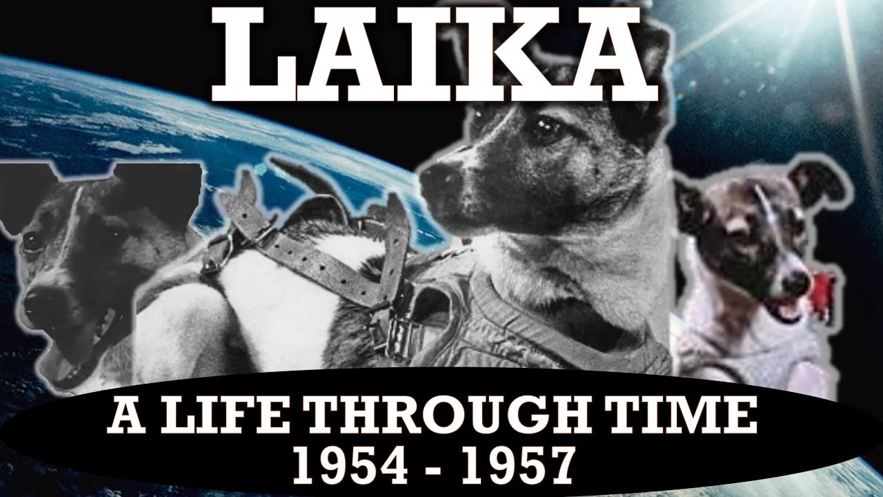 Laika: A Life Through Time (1954-1957)