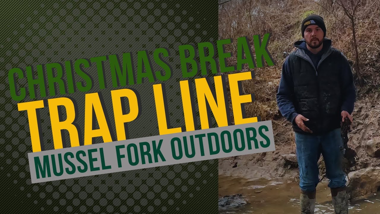 Trapping Nest Predators in Missouri
