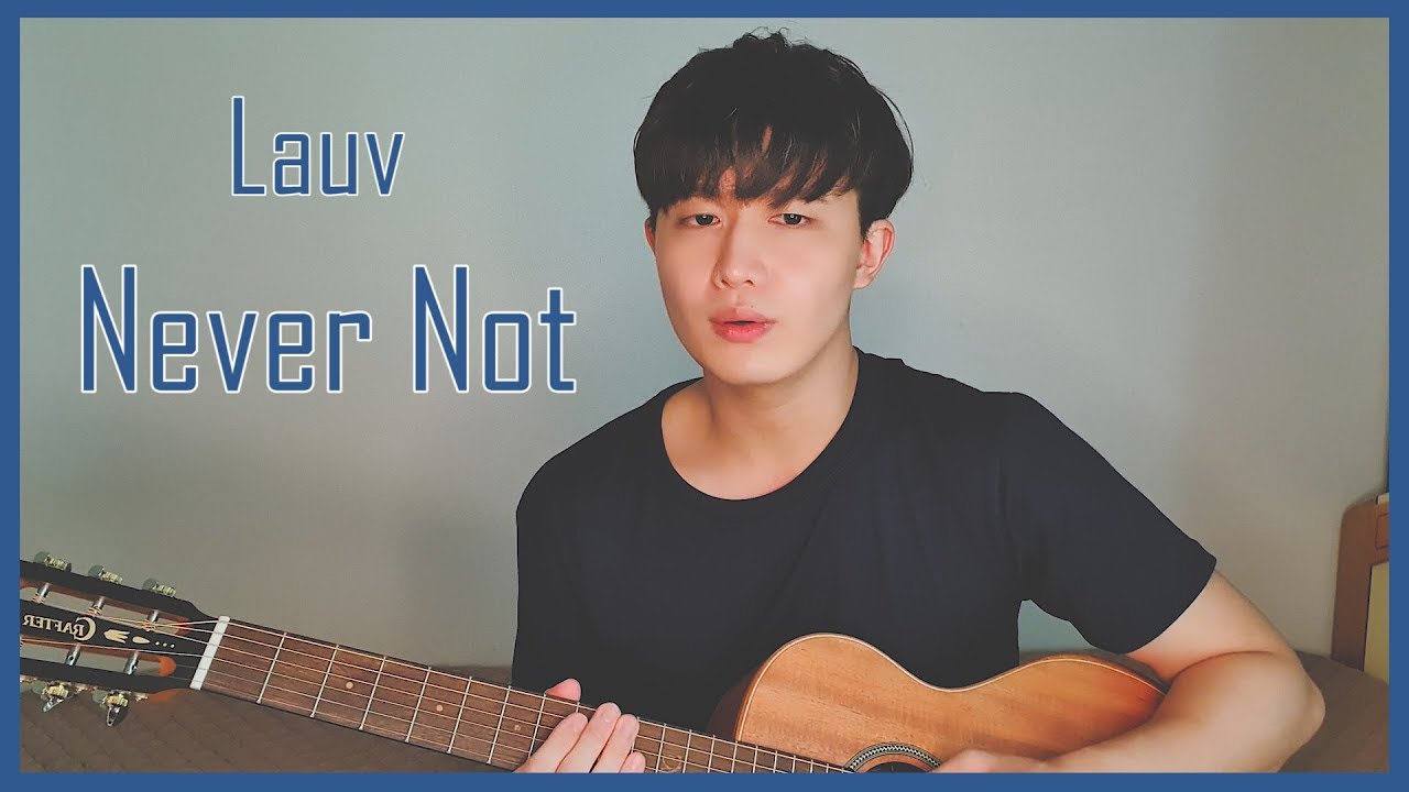 Lauv - Never Not ㅣ Harryan cover