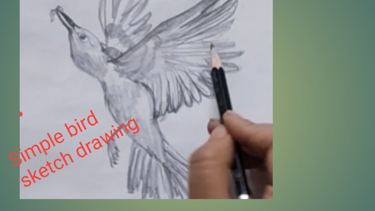 @Simple Pencil Bird Drawing | Easy Bird Sketch Step by Step for Beginners ✏️
