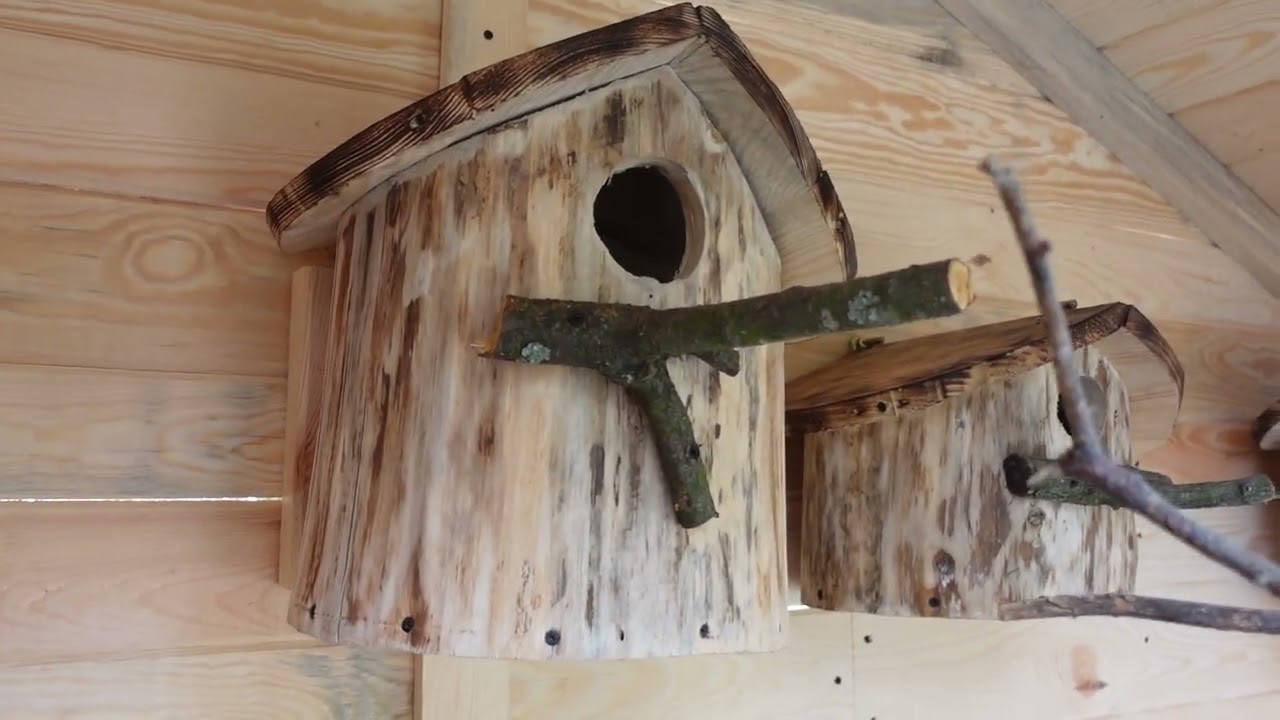 nowa woliera dla ptak&oacute;w,urządzanie woliery budki lęgowe. żerdzie, p&oacute;łka pod miski #aviary #breeding
