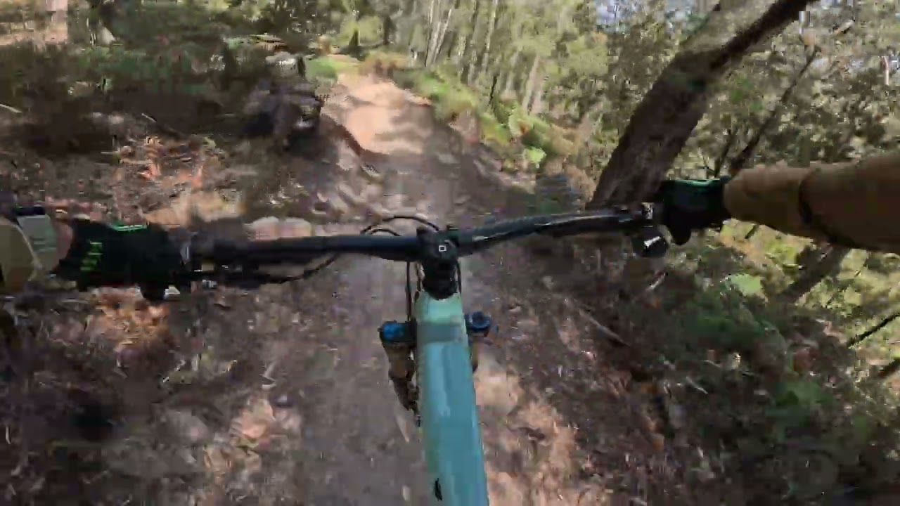 Green Machine. Good fun! Latrobe MTB. 