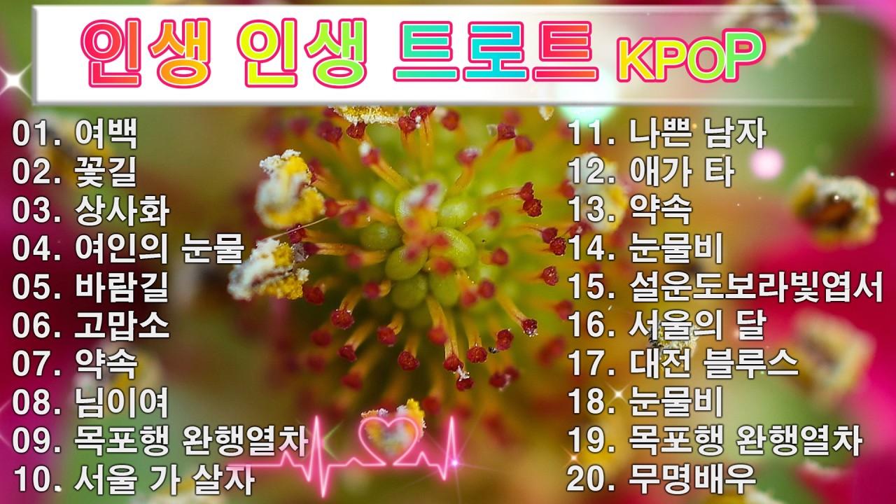 인생 인생 트로트 KPOP (TROT) PLAYLIST 💸 ( 꽃길.상사화.여인의 눈물.회룡포.바람길...) #Kpop