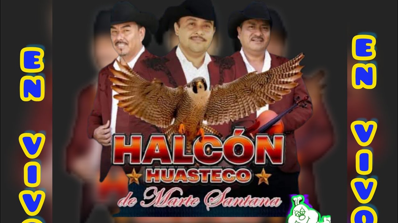 Trio Halcón huasteco de Marte Santana. La Cuchara de Gabino.El León y Lejos de mi Tierra.