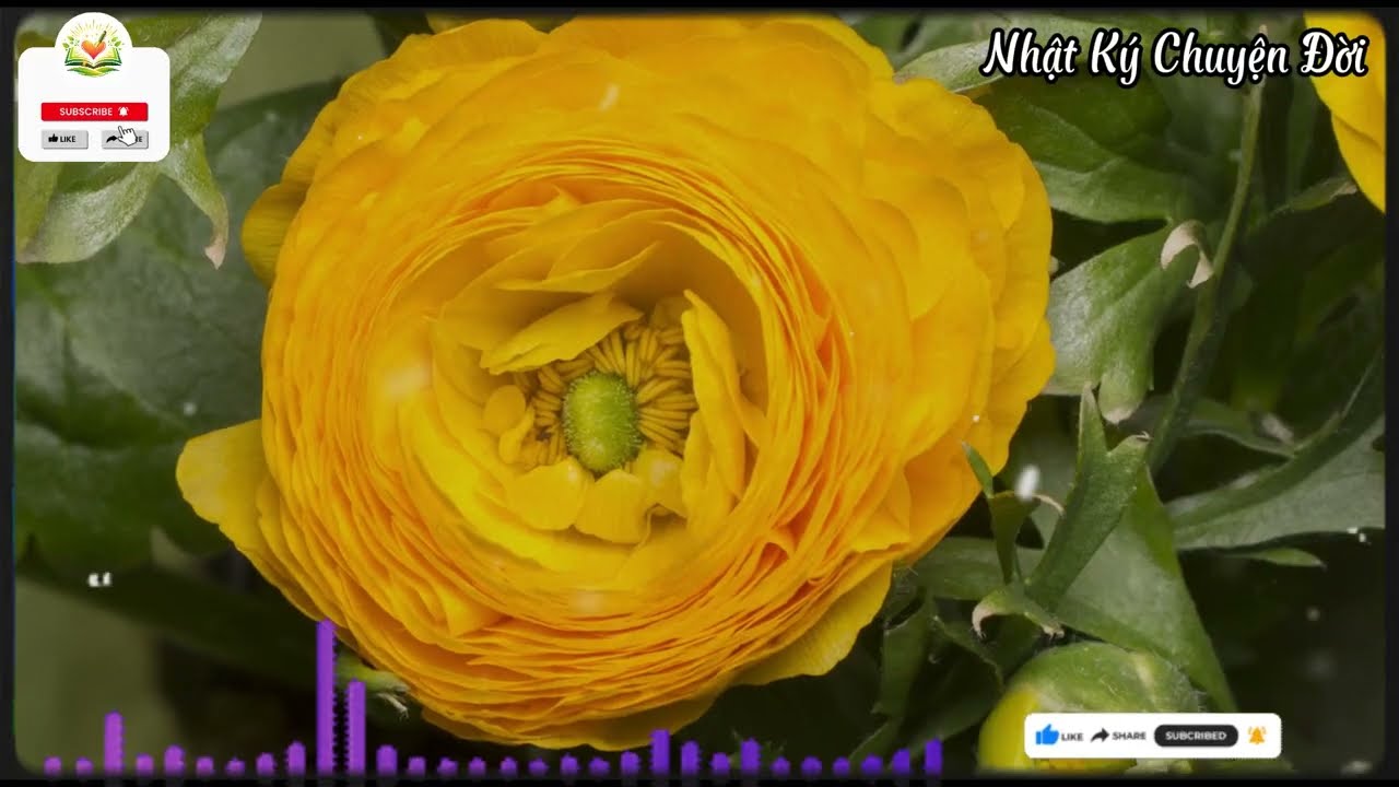Người ăn xin trước cổng nhà… là tỷ phú