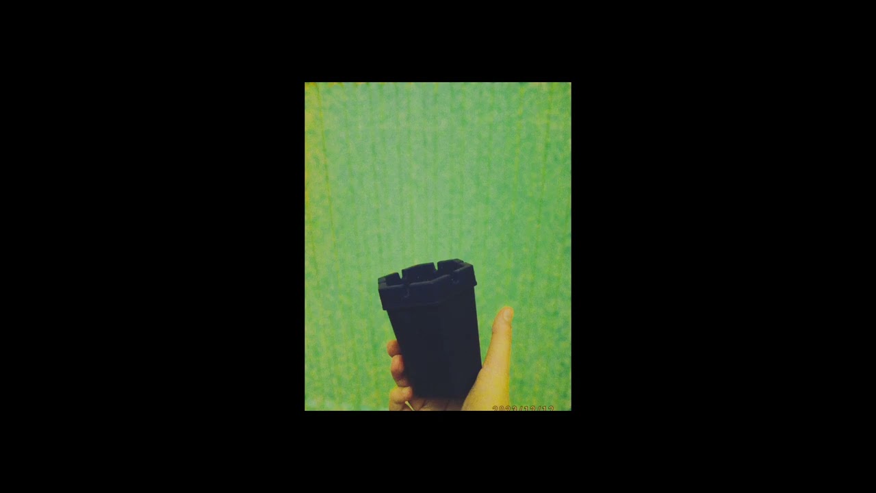 Sena şener - çirkin dünya (cover)
