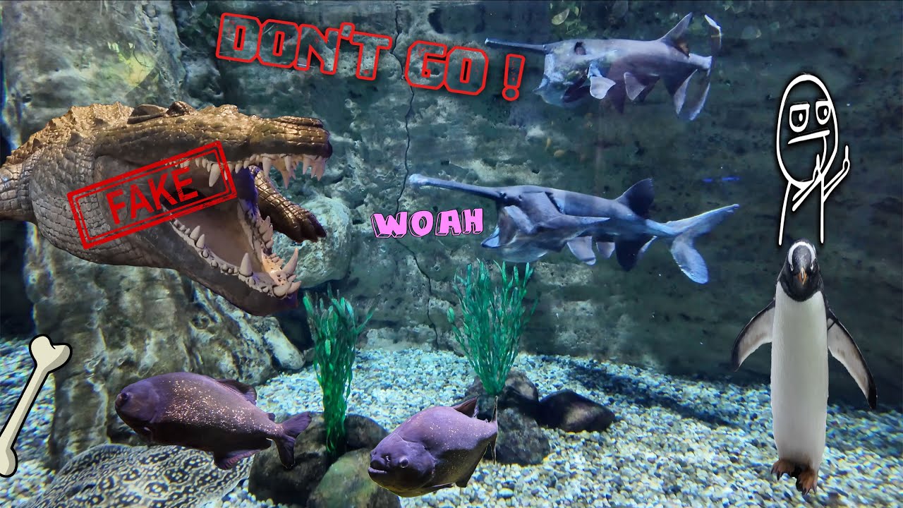Walking in Dubai, Dubai Mall Aquarium | 4K Lofi Vibes