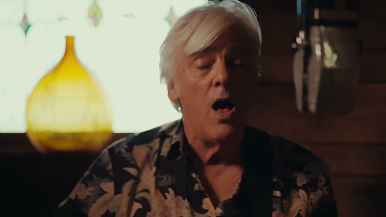 Robyn Hitchcock - 