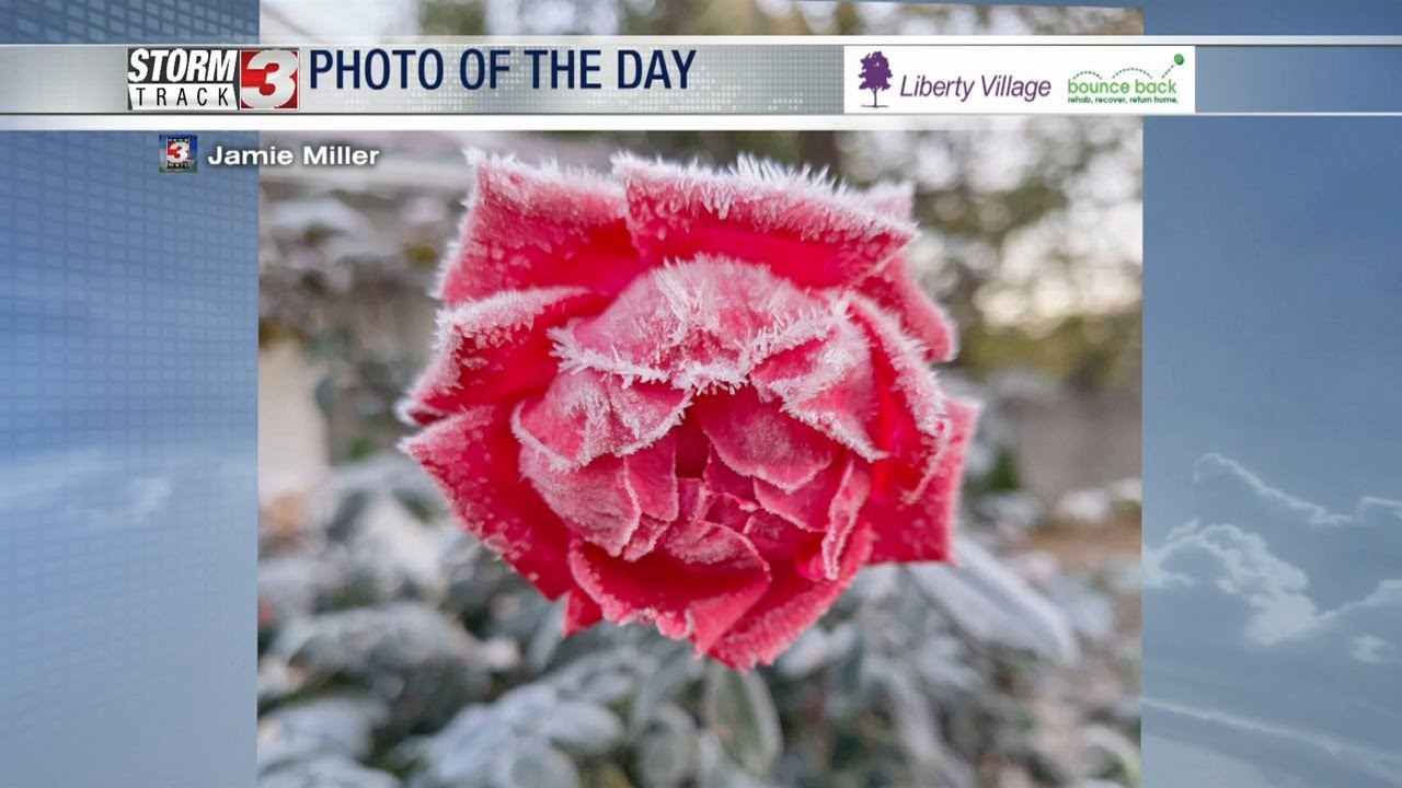 Photo of the Day Winner - December 1, 2023