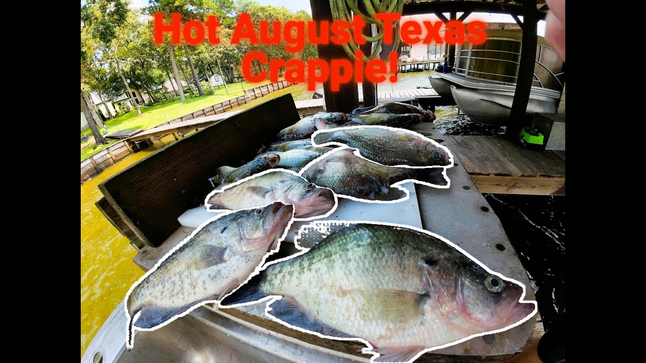 How I catch Hot August Crappie in East Texas
