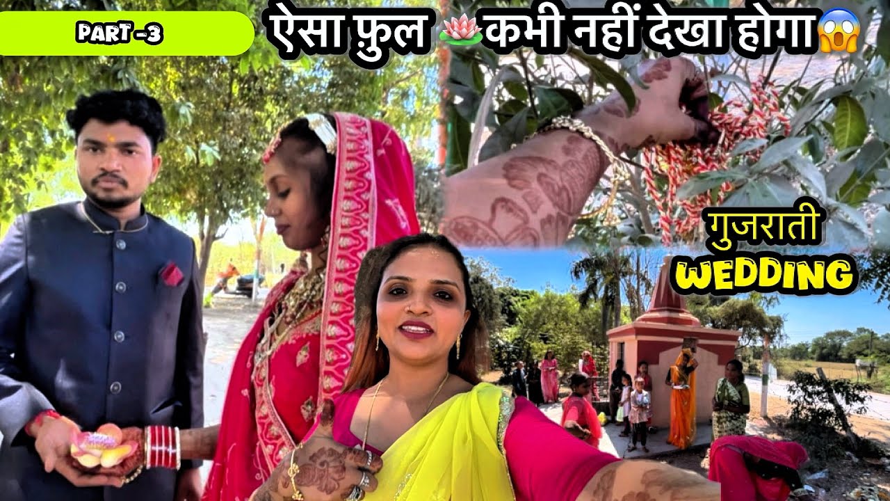 Gujarati Wedding Part 3 💐 | Aisa Phool Kabhi Nahi Dekha 😱 | Village Tour 🏡