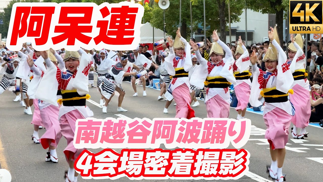 【阿呆連】南越谷阿波踊り2025「阿波の阿の字は阿呆の阿の字」4つの会場で徳島・東京でも大人気の阿呆連を徹底撮影！最初から最後まで観客を魅了する！