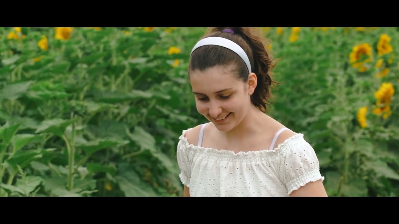 Tournesol