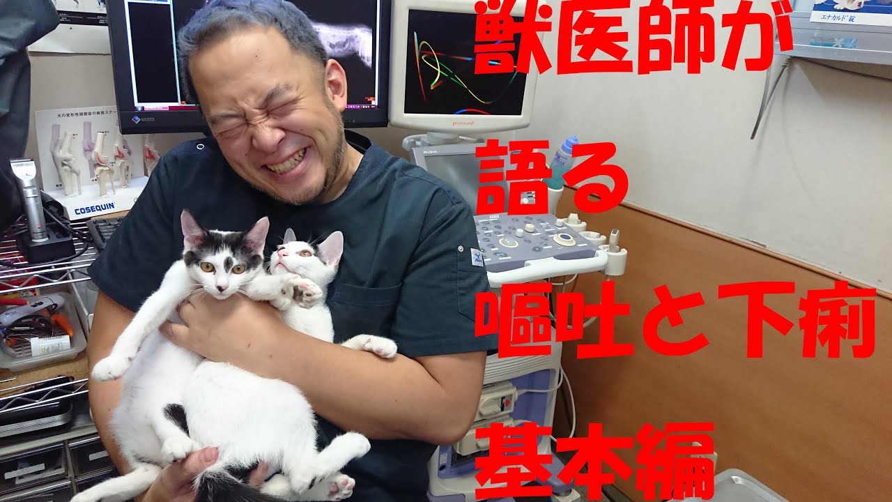 獣医師が語るペットの病気～嘔吐・下痢・基本編～