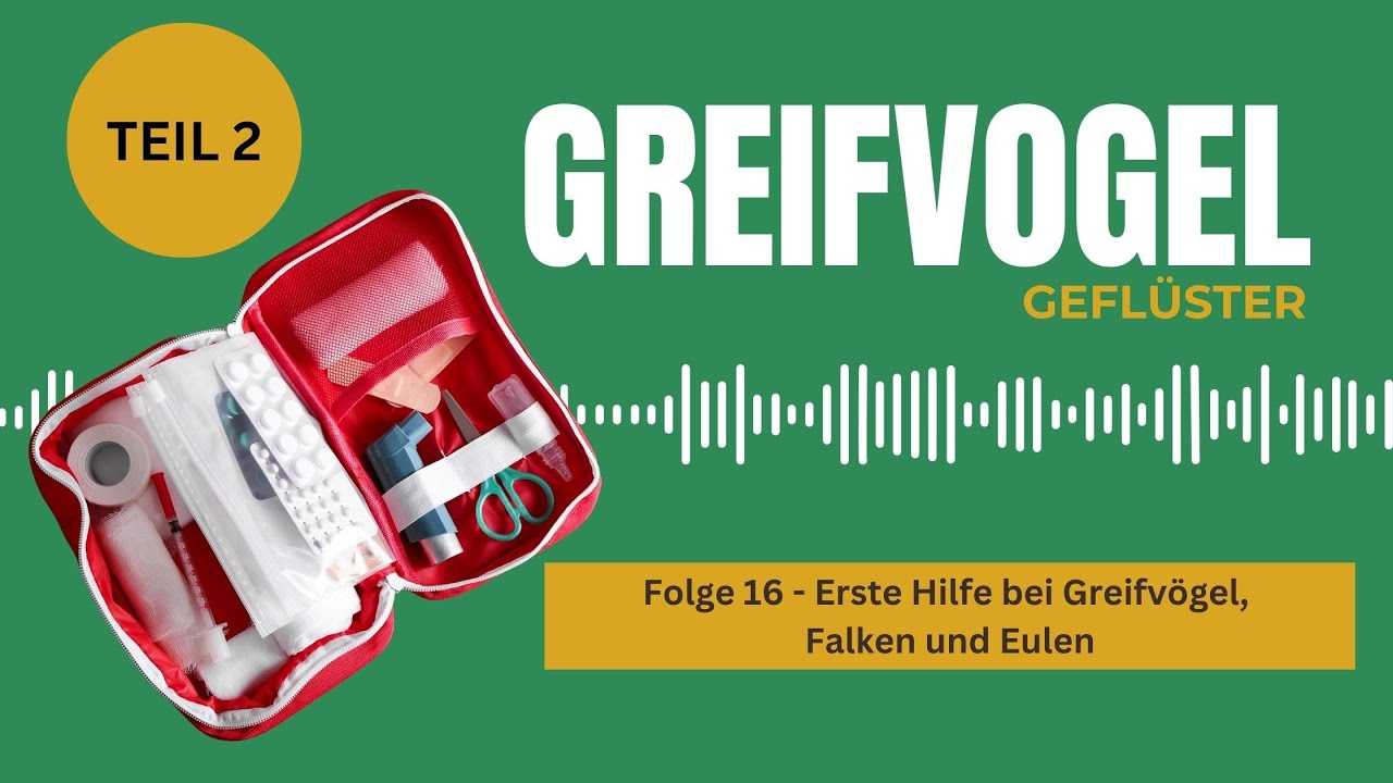 Erste Hilfe bei Greifvögeln, Falken und Eulen - Interview mit Dr. Dominik Fischer - Teil 2