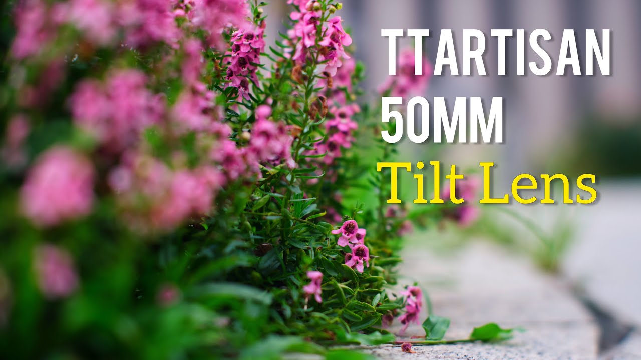 Раскрытие творческого потенциала с объективом TTArtisan 50mm f1.4 Tilt Lens (полнокадровый)