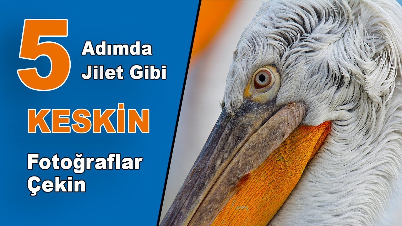 Jilet Gibi Keskin Fotoğraflar Nasıl Çekilir | Fotoğraflarım Neden Keskin Olmuyor