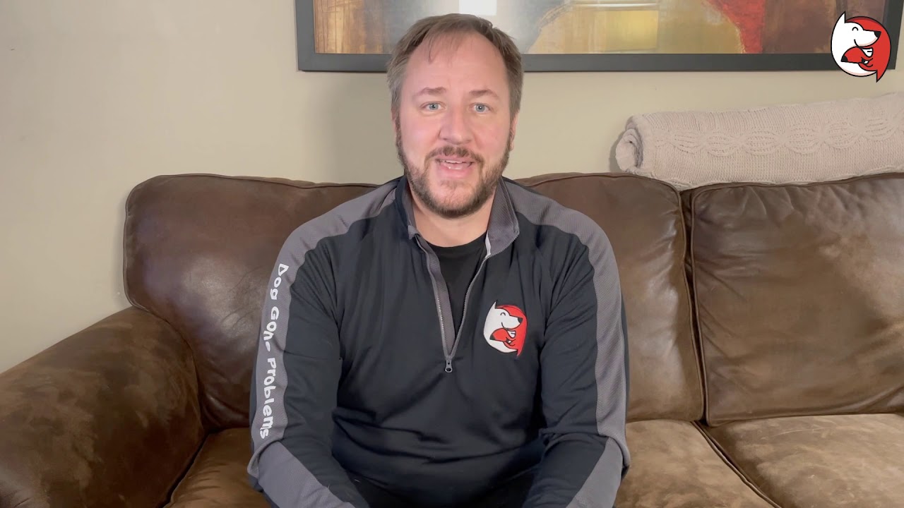 Dog Gone Problems - Welcome to Puppy High School