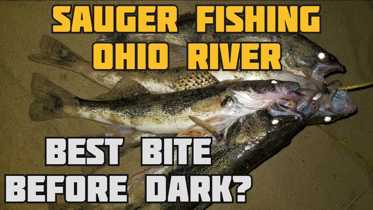Sauger Fishing the Ohio River - Fishing for Sauger Just Before Dark - Limit out on Sauger