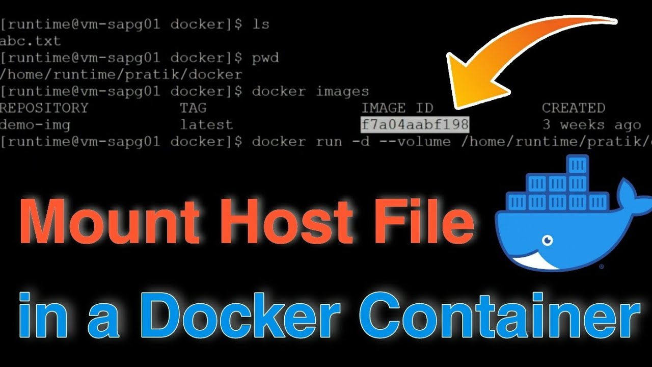 Как смонтировать файлы хоста в Docker-контейнере?