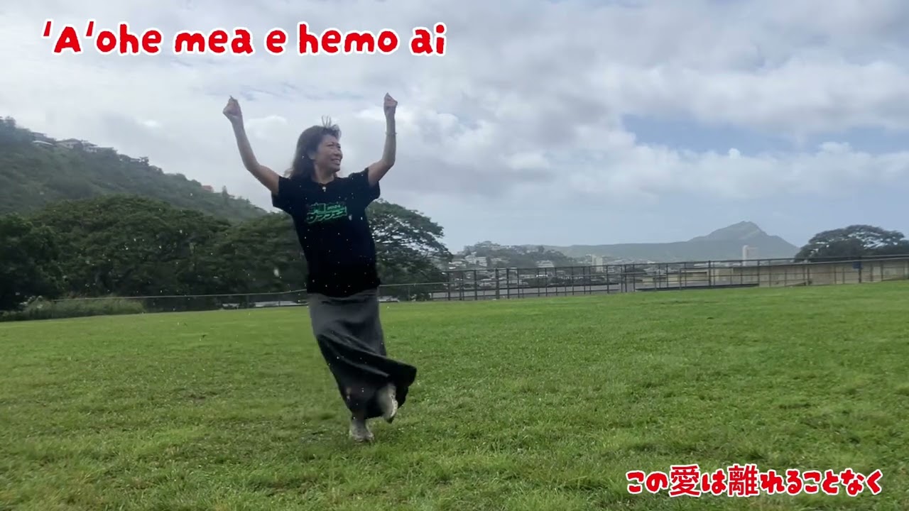 🌺Pua Lililehua