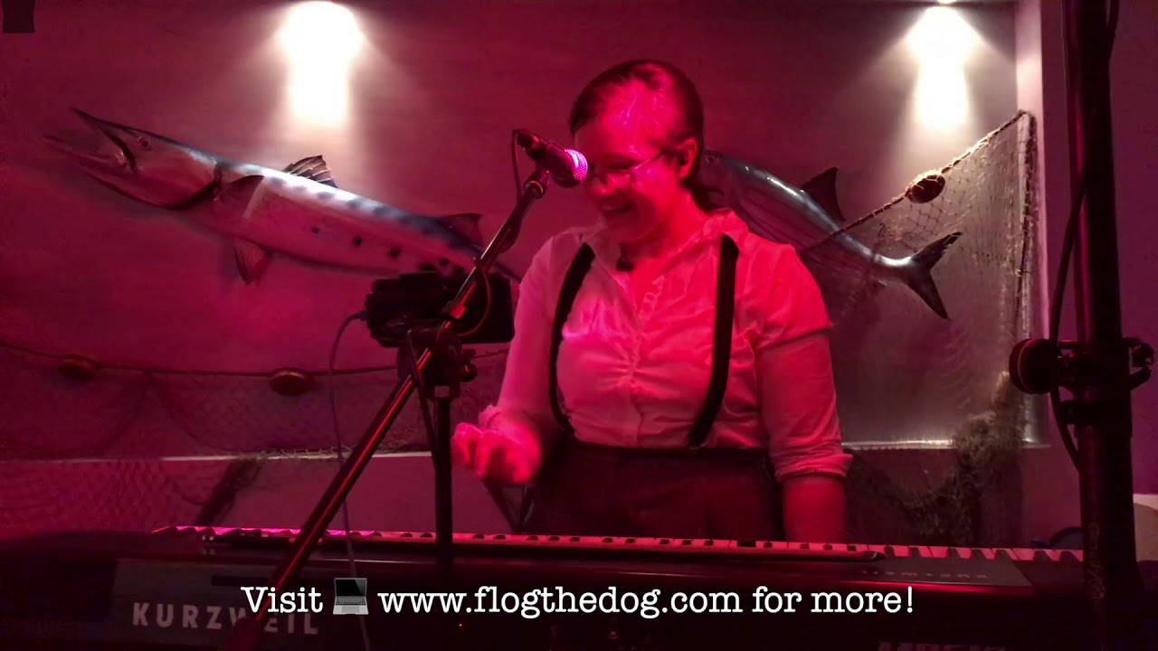 Flog The Dog (Wedding Band) LIVE - Shotgun / Baby Shark / You Can Call Me Al