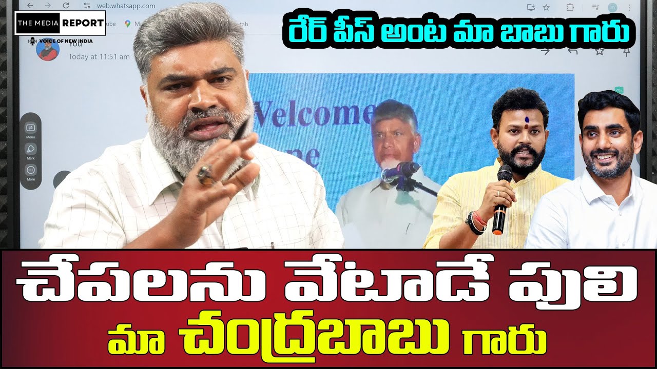 చేపలను వేటాడే పులి, రేర్ పీస్ అంట మా బాబు గారు| A tiger that hunts fish #themediareport