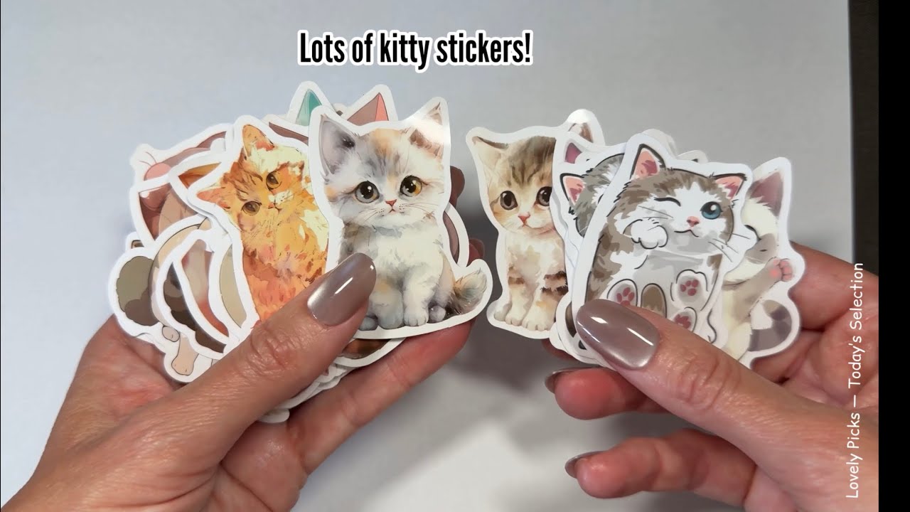 Silly Meow Kitty Stickers - Video 16 | Stationery | Aesthetic ASMR Relaxing Video  
