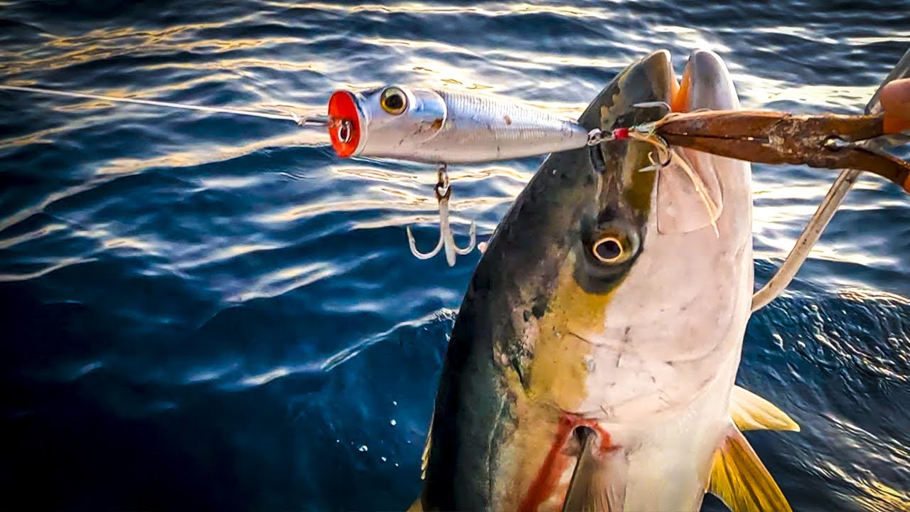Este popper me dio una gran pesca!!!!!
