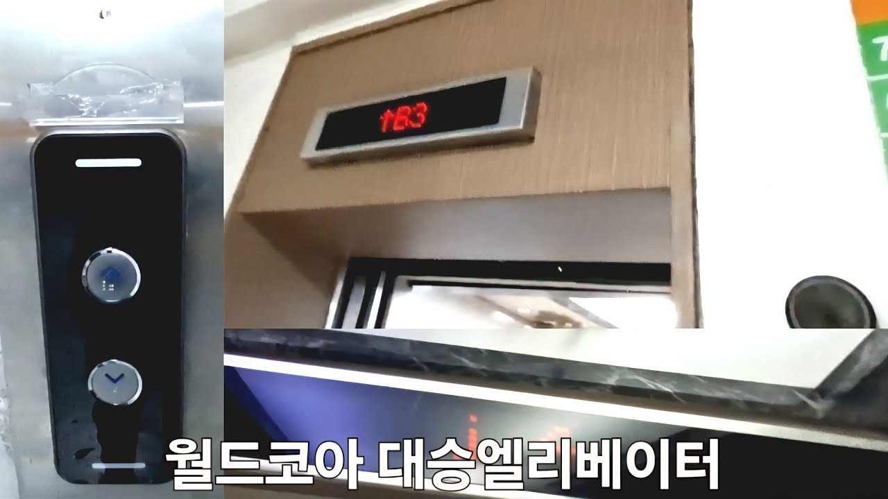 고급형버튼!! & 의장교체?? | 경기도 안산시 단원구 월드코아빌딩 대승엘리베이터 삼일엘텍 리모델링후 탑사기