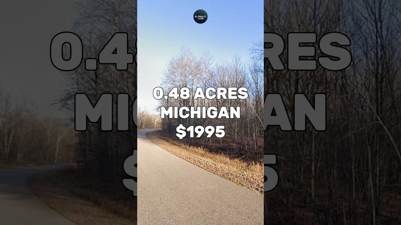 0.48 Acres with road access for Sale in Mancelona Michigan for $1,995 #fyp #foryou #reels #shorts