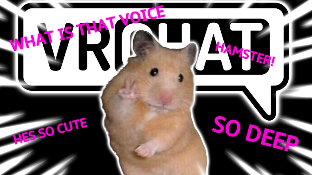 hamster with a deep voice plays vrchat