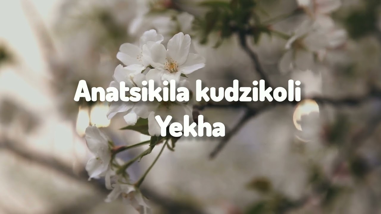 Namadingo KUFA NKUGONA {Lyric Video}
