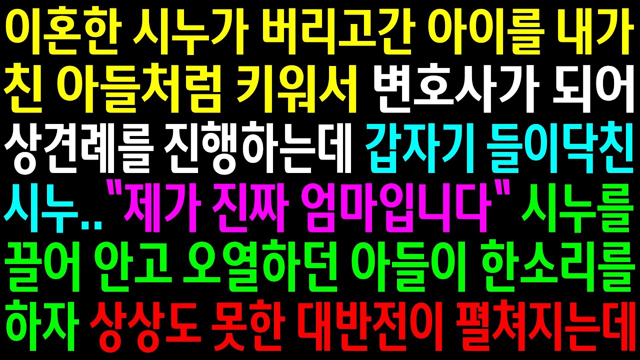 (실화사연)이혼한 시누가 버리고 간 아이를 내가 친 아들처럼 키워서 변호사가 되어 상견례를 진행하는데 갑자기 들이닥친 시누..상상도 못한 반전이[신청사연][사이다썰][사연라디오]