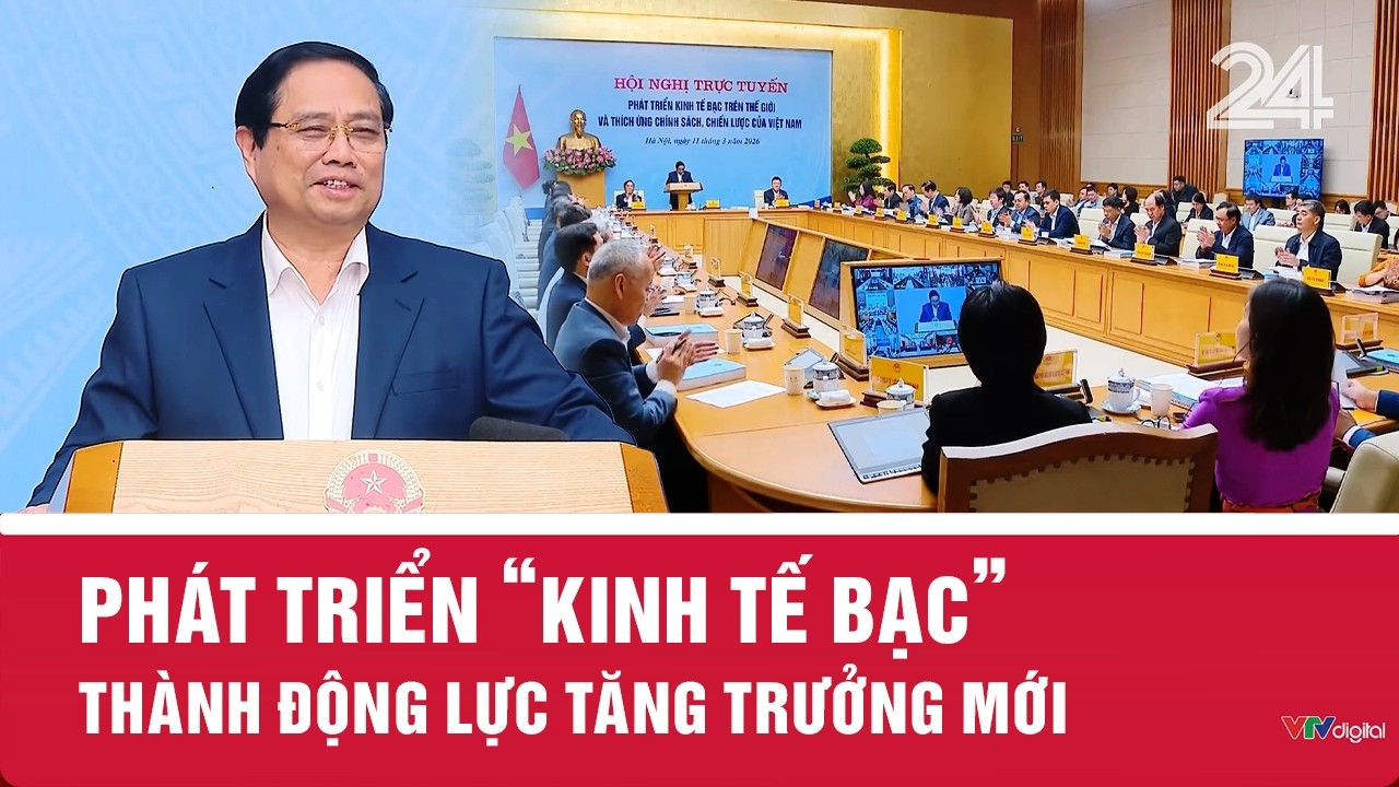 Phát triển 'kinh tế bạc' thành động lực tăng trưởng mới | VTV24