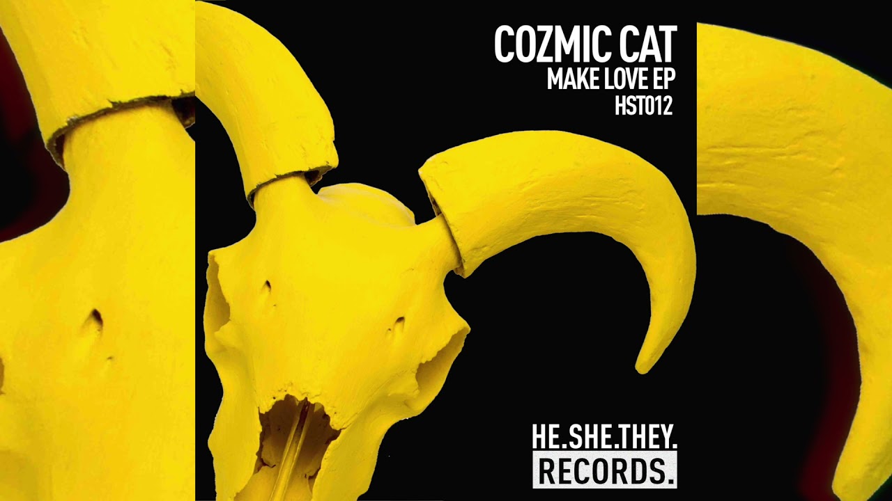 Cozmic Cat - The Fixer (Original Mix) [HE.SHE.THEY]