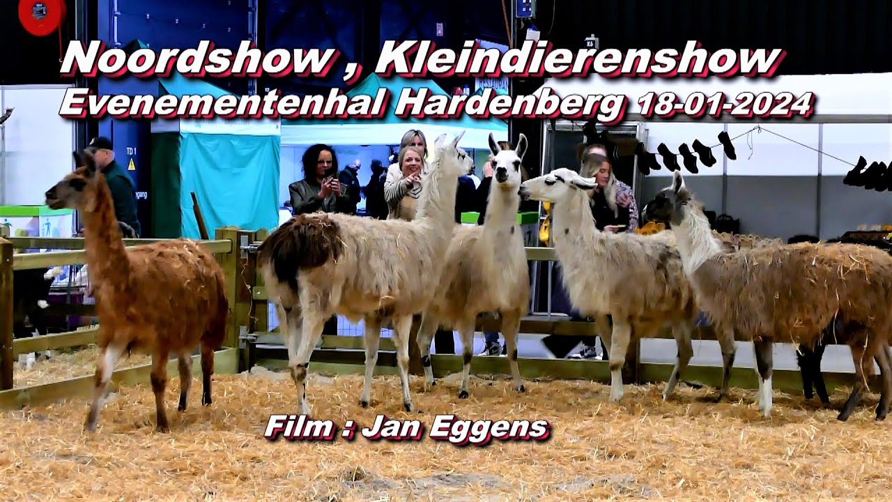 Noord show , kleindierenshow Evenementenhal Hardenberg 18 01 2024