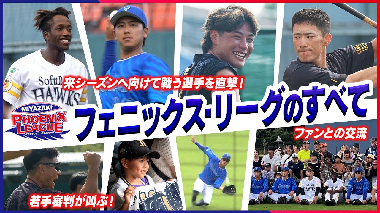 フェニックスリーグの全て～来シーズンへ向けて戦う選手・審判員に直撃～