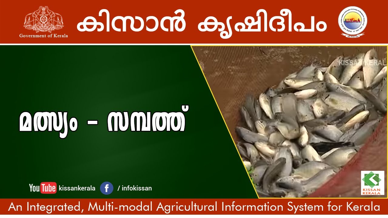 Fish Farming - Kollam & Pathanamthitta